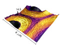 Asylum Research Announce Webinar on AFM Nanomechanics