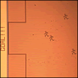 Nanotechnology News - Interview with Michelle Hedges, Patent and Trademark Attorney, Nano Soccer, Solar Cells and Gold Rings