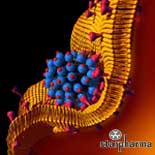 STARPHARMA - Nanotechnology, Dendrimers and Drug Delivery