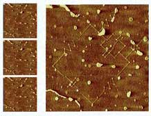 Designing, Writing and Inspecting Nano Sized Electronics with a Dip Pen Nanolithography (DPN) System