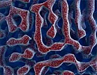 Nanotechnology in Sports and Running Shoes