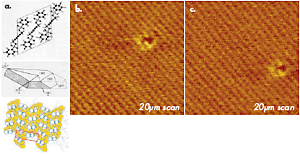 AZoNano - A からナノテクノロジーの Z - (a) 高解像 AFM イメージ投射に使用する polydiacetylene (PDA) のための BC 平らのの化学構造、水晶形および結晶学順序のスケッチ。 (b) - (c) 空気の叩くモードで得られる PDA の水晶の BC 表面の高さの画像。 カーボンスパイクのプローブは実験で使用されます。 画像は表面のグループおよび 1 つの分子スケールの欠陥の発注されたパッキングを示します。 画像は 10 Min. 間隔内の同じ位置に記録されました。 欠陥のシフトは ~0.6nm/min. の熱ドリフトと関連しています。