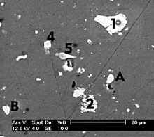 AZoNano - 纳米技术 A 到 Z - 近似区的 SEM 图象和一样在表 2. EDS 分析表明微粒 1-5 是 Al 古芝 (Fe, Mn) 金属间化合物,并且 A, B 是 Al 古芝 Mg 金属间化合物。