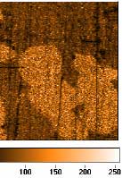 AZoNano - The A to Z of Nanotechnology - 10μm modulus map of an Al/Si composite material