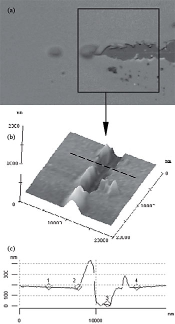 AZoNano - O A a Z da Nanotecnologia - micrografia Óptica (a) de um ponto típico da falha crítica para um risco progressivo da carga em um filme fino dieléctrico. A imagem de SFM (b) confirma a extensão da delaminação, de que um perfil (c) poderia ser extraído a fim verificar os fenômenos da pilha-acima (linha pontilhada em (b)).