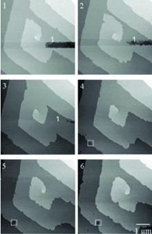 AZoNano - A からナノテクノロジーの Z - 結晶成長の間の LysB28ProB29 インシュリンの (001 の) 平面の TappingMode そのままの AFM イメージ投射。 イメージ投射領域は 11 時間のピリオドにわたる 1 つの回転を完了するねじ転位のまわりに集中します。 画像は 1 の = 0、 2 の = 3605、 3 の = 7210、 4 の = 10,815、 5 の = 18,025、そして 6 の = 40,590 秒に得られました。 1-3 では、欠陥 (1) 先端によって計画的に形作られる 120 分以内に修理されます示される。 4-6 では、インシュリンの総計は成長する台地に組み込まれないボイドを形作ります。 5ìm スキャン