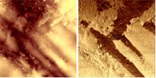 AZONano - A からナノテクノロジーの Z - 親水性のプローブとの PhaseImaging 著行なわれる薬剤のシメチジンの多形形式 A および B の分布。 段階の画像は (右の) TappingMode の地勢画像で明白 (ではない B (軽い) 多形の分布をおよび A の (暗い) 去りました示します)。 段階の画像の対照は hydrophobicity の相違が原因です。 4ìm スキャン。
