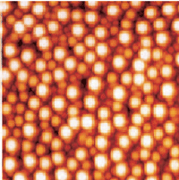 AZoNano - das A bis Z der Nanotechnologie - TappingMode im flüssigen Bild von positiv - belastete Polystyrenlatexpartikel adsorbierten zum Glimmer (im Wasser). Der durchschnittliche Korndurchmesser ist 120nm. 3μm Scan