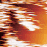 AZoNano - das A bis Z der Nanotechnologie - Kontaktmodusbild im Wasser des gleichen Bereiches in der Abbildung 1. 3μm Scan