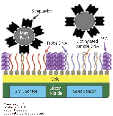 AZoNano, Nanotechnologie - Diagram tonen die hoe het goud nanoparticles in sensoren voor chemisch product en biologische oorlogsvoeringagenten wordt gebruikt.