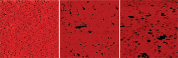 AZoNano - A à Z de Nanotechnologie - des images de CAFM tracent la conductivité de HfO2 en tant que déposé (parti) et poteau-la recuisent à 700°C (moyen) et à 800C (droit). Ces plans laisse concevoir, et mesurer la taille et la distribution des points faibles dans le diélectrique. Une couleur Plus Sombre signifie plus à forte intensité par l'extrémité, indiquant une conductivité plus élevée, et ainsi les points faibles dans le diélectrique. Les points faibles apparaissent et prolifèrent lors de l'adoucissement, plus au plus élevé recuisent la température.