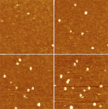 AZoNano - A à Z de Nanotechnologie - Séquence des images de THON obtenues sur un film SiO2 avec les défauts inclus. La tension de polarisation d'échantillon était de gauche à droite : (premiers) 1V, 2V, (bas) 3V, et 5V. échographie de 1ìm, 1 échelle actuelle de PA