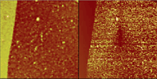 AZoNano - A à Z de Nanotechnologie - Topographie (laissée) et images actuelles de THON (bonnes) d'un 100nm PPV posent sur une couche conductrice de PANI. La tension de polarisation d'échantillon était -6V. échographie de 50ìm.