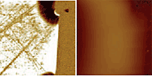 AZoNano - A à Z de Nanotechnologie - phase de la Capacité (SCM) dC/dV (gauche) et images de hauteur/topographie (bonnes) d'un Silicium ion-implanté structurent se composer d'un implant de type n (zones sombres) dans un substrat de type p. On peut observer un implant de type p (plus peu profond) supplémentaire. La structure croix-a été sectionnée par des techniques de polissage normales.
