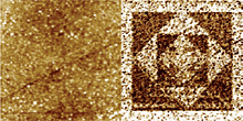 AZoNano - A à Z de Nanotechnologie - Topographique (parti) et image de SCM dC/dV (droite) d'un film ferroélectrique de PNZT. Les zones Sombres et lumineuses correspondent aux régions à l'opposé polarisées. Les différentes régions de polarisation ont été écrites utilisant le SCM à différentes tailles d'échographie et les tensions de polarisation d'échantillon avant ce SCM balayent. échographie de 25ìm.