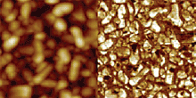 AZoNano - A à Z de Nanotechnologie - Environ les mêmes zones que dedans au-dessus des images, mais maintenant avec un C.C 5V appliqué entre l'extrémité et l'échantillon. La tension CC Change la polarisation tels que toutes les textures ont la même condition de polarisation.