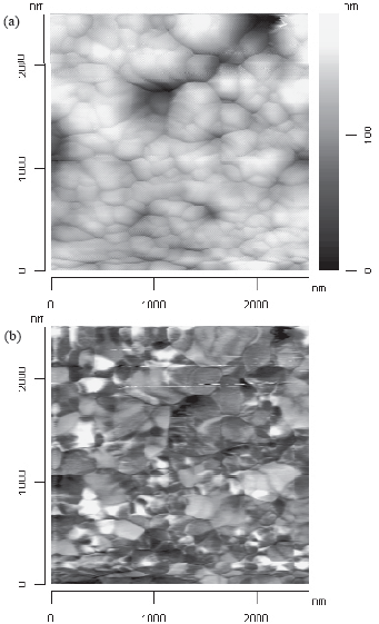 AZoNano - The A to Z of Nanotechnology - Topography (a) and LOC/friction (b) data obtained on a magnetic floppy disk surface. The topography image shows the general morphology of the surface, but the LOC image gives a large contrast enhancement between different phases.