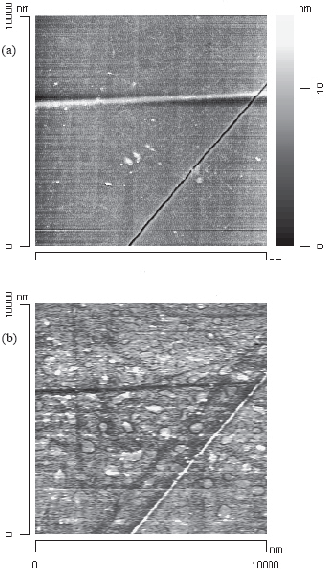 AZoNano - The A to Z of Nanotechnology - Topography (a) and LOC/friction (b) data obtained on a standard glass substrate. Apart from a surface scratch, the topography image shows hardly any structure. In contrast, the LOC image shows the grain structure of the material.