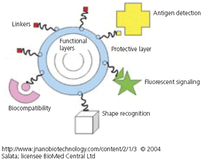AZoNano Nanotechnology - Diagram visningen hur nanotechnologymetoder kan förbättra vår överenskommelse av bosatt celler.