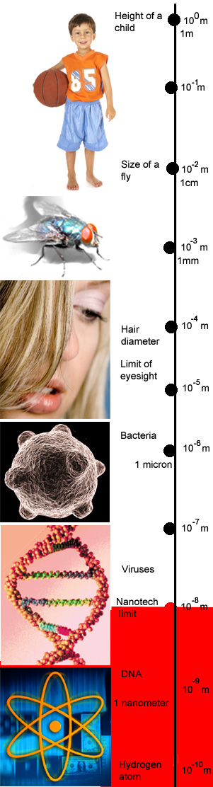 download gonorrhöe allgemeine ätiologie · pathologie bakteriologische diagnose · immunität serodiagnose