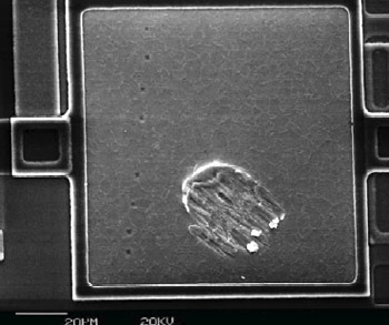 AZoNano - The A to Z of Nanotechnology - SEM micrograph of one of the measured bonding pads showing the scrub mark (right) and a line of nanoindentations (left).
