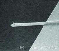AZoNano - Aet till Z av Nanotechnology - SEM 2000 avbildar (förstoring 300X) av en crystal silikoncantilever för inbyggd singel och tippar med en avslutaradie av 5nm till 10nm.