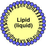 AZoNano, Nanotechnology - This diagram shows the Lipid monolayer in a nanoemulsion enclosing a liquid lipid core.