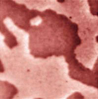 AZoNano - The A to Z of Nanotechnology Online - Magnetic Domains
