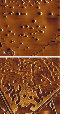 AZoNano - The A to Z of Nanotechnology - Successive phase images of poly(hexacyclodimethyl)siloxane at (a) 85ºC and (b) 90ºC. Heating induces formation of liquid islands within the amorphous polymers (a), which convert into arrays of small dots on additional heating (b). 10μm scans.