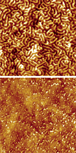 AZoNano - The A to Z of Nanotechnology - Poly-sbs at room temperature in air (a) and at 180°C in 10-5 Torr pressure (b). Images captured with the Enviroscope