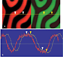 AZoNano - The A to Z of Nanotechnology - Images of the same area on magnetic recording tape scanned with and without Q-control. Phase detection MFM images and average cross-section measurements of the probe phase shift illustrate nearly 4x enhanced signal-to-noise ratio for the Q-controlled image.