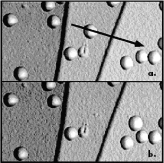 AZoNano - A aan Z van Nanotechnologie - een 30nm gouden deeltje (a) vóór en (b) na wordt geduwd over een 10nm hoge stap langs de richting die door de pijl wordt vermeld. De grootte van het Beeld is beide 1μm x 0.5μm.