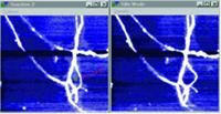 AZoNano - A aan Z van Nanotechnologie die - een te buigen uiteinde AFM Gebruiken nanotubes
