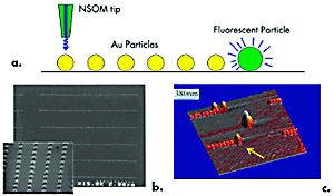 AZoNano - A aan Z van Nanotechnologie - golfgeleider Plasmonic: (a) het Schema van een plasmonic golfgeleider, (b) de micrografen van SEM van e-straal lithografie vervaardigde gouden nanostructures, en (c) het beeld van AFM van een latexparel (duidelijk door gele pijl) die aan het eind van de gouden nanostructuresmatrijs werd gemanipuleerd.