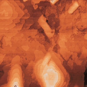 AZoNano - A à Z de Nanotechnologie En Ligne - mesures de STM sur des films minces de HTSC (YBa2Cu3O7-x) (données brutes). image 500nm de YBoCo
