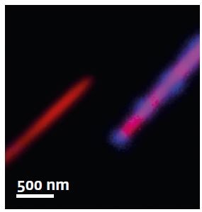 Close-up of two NWs tip. Red now represent emission from the GaAs core (820 nm) of the wire, when blue regions mark the QDs emission (670 nm). Dots at less than 500 nm can be easily resolved. (Specimen temperature : 10 K)