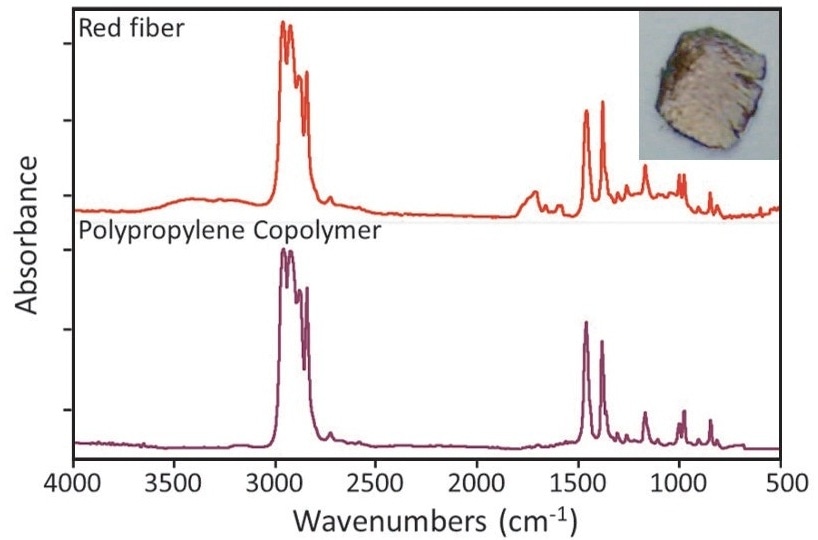 IR spectra of the flattened red fiber (top, red) and the top library match (bottom, purple). Inset: Red fiber (approx. 60 μm in diameter) viewed in transmitted illumination using the SurveyIR microscope.