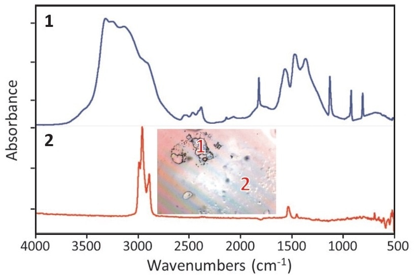 IR spectra of the two areas shown in the inset image.