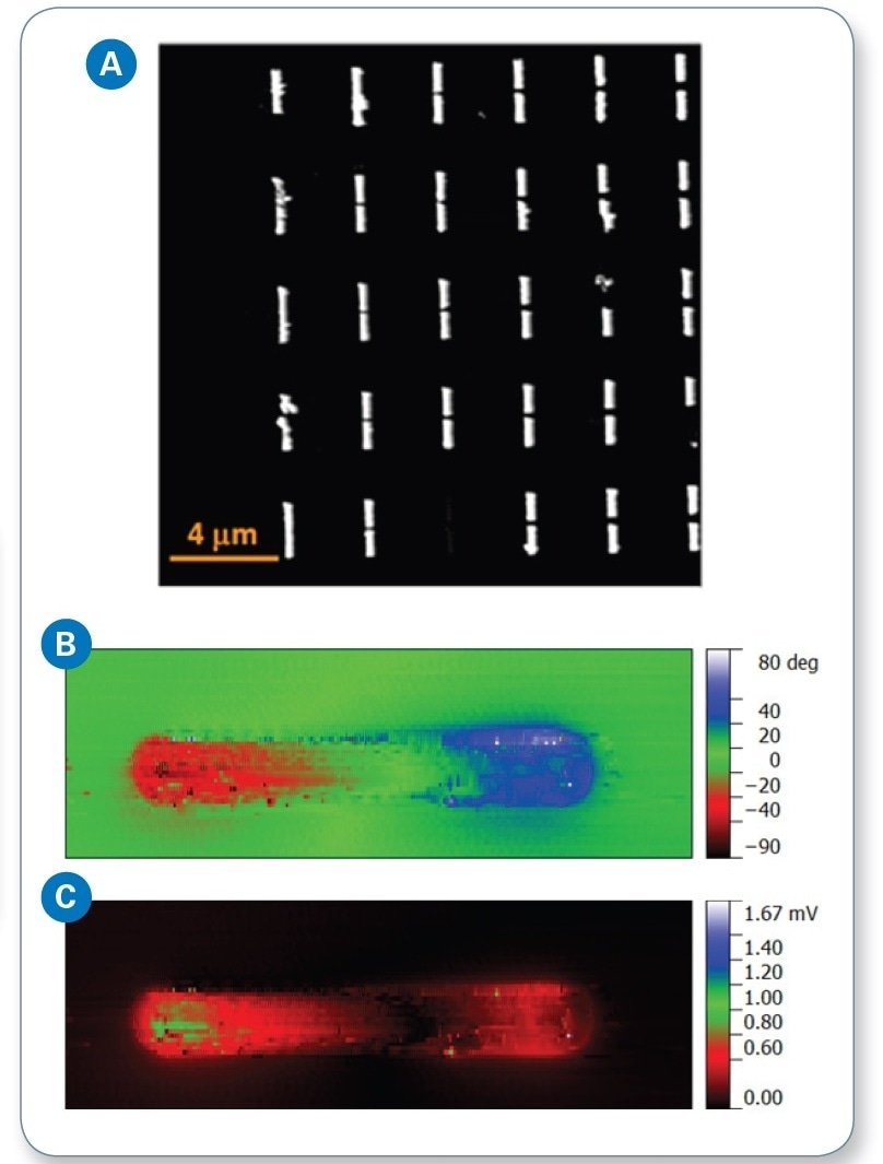 (a) AFM height image of assembled antenna array; (b) s-SNOM phase; and (c) s-SNOM amplitude images of an antenna dipole.