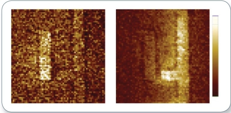 Experimentally measured AFM cantilever deflection amplitudes. The cantilever deflection is directly proportional to temperature increase in the sample during the laser pulse; this confirms that the magnitude and spatial distribution of the Ohmic heating of a chiral 2D metasurface markedly depends on the handedness of light.3