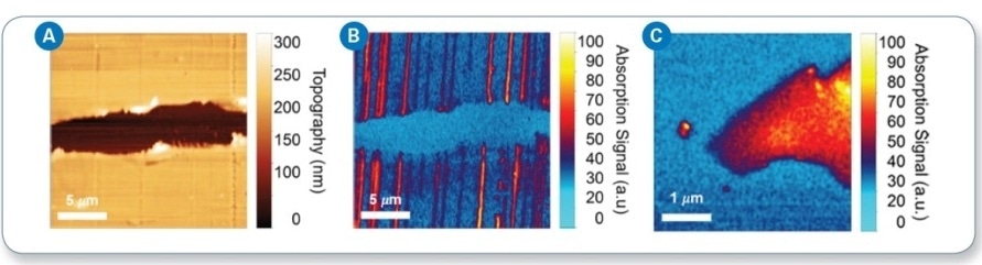 (a) AFM topography imaging of CNTs deposited on a polystyrene substrate; (b) IR chemical mapping at 4000 cm-1 showing absorption by CNTs; and (c) IR chemical mapping image of monolayer graphene captured at 4000 cm-1.