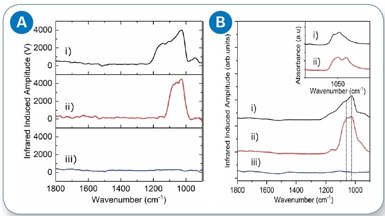 (a) Single-flake AFM-IR spectra of i) PBSrGO, ii) PCNBS-rGO and, iii) U-rGO; and (b) average AFM-IR spectra of i) PBS-rGO, ii) PCNBS-rGO, and iii) U-rGO, dashed lines highlighting the 1084 and 1036 cm-1 intensities used for further chemical mapping studies.