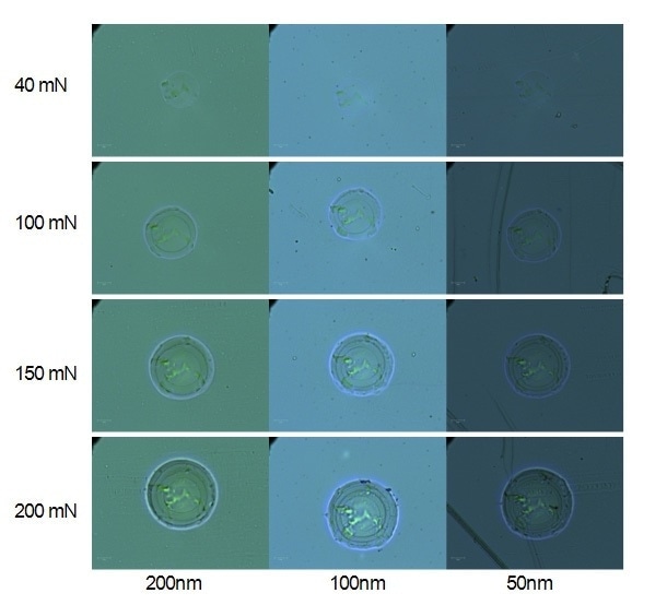 Optical micrographs of residual indents for 4 applied normal loads and 3 coating thicknesses (1000x magnification).