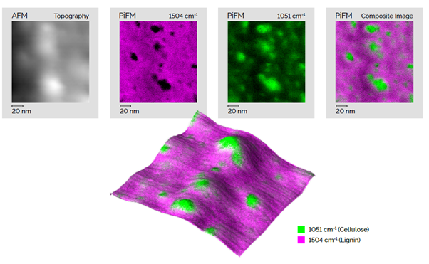 New Capabilities in Nanoscale Spectroscopy with PiF-IR