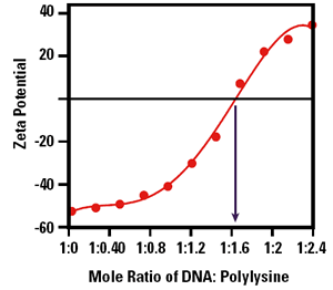 Measurement of the zeta potential as a function of the mole ratio of DNA:polylysine