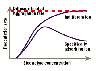 The effect of electrolyte concentration on flocculation.