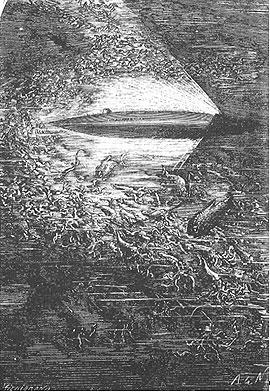 Original illustration of the Nautilus.