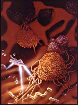 Illustration of the Fantastic Voyage, apparently the original book cover art