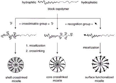 Block copolymer micelles.