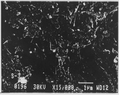 Multi-walled carbon nanotubes bound on silicon surface without their dispersion using optical tweezers.